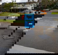 The Wooli General
