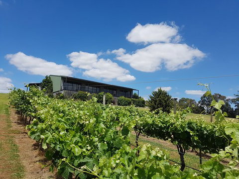 Traralgon Vineyard - New South Wales Tourism  0