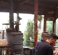 Bodhi Tree - New South Wales Tourism 