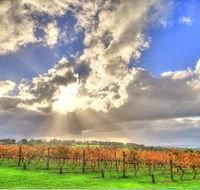 Max's at Red Hill Estate - New South Wales Tourism 