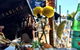 The Colonist - thumb 6