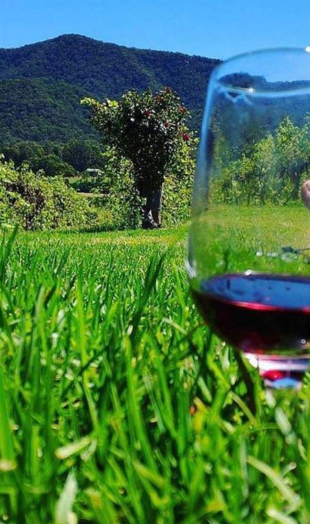 Two Fat Blokes Gourmet Kitchen - New South Wales Tourism  4