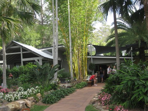 Wild Canary - New South Wales Tourism  12