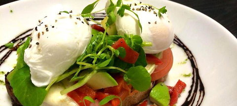 Wild Canary - New South Wales Tourism  0