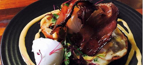 Wild Canary - New South Wales Tourism  3