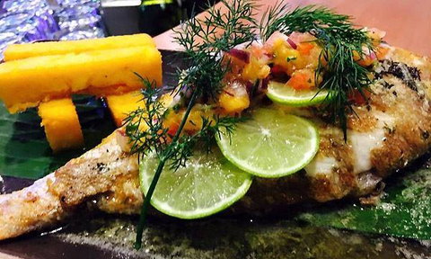 Wild Canary - New South Wales Tourism  5