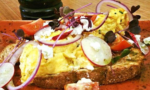 Wild Canary - New South Wales Tourism  8