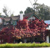 Fetching Treasures - New South Wales Tourism 