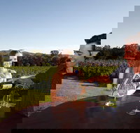 Gapsted Wines - New South Wales Tourism 