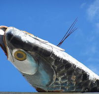 Fish Creek Hotel Motel - New South Wales Tourism 