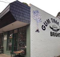 Gum Tree Pies