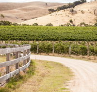 McIvor Estate Cellar Door - New South Wales Tourism 