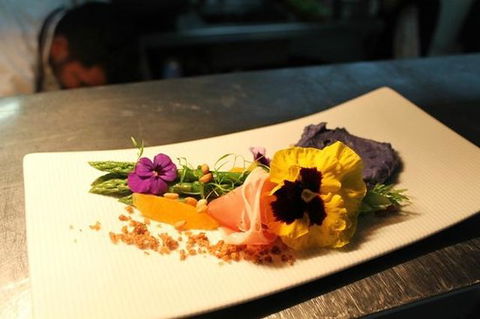 Mountain View Restaurant - New South Wales Tourism  0