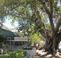 The Season Tree - New South Wales Tourism 
