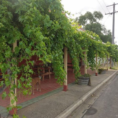 Landsborough Hotel - New South Wales Tourism  0