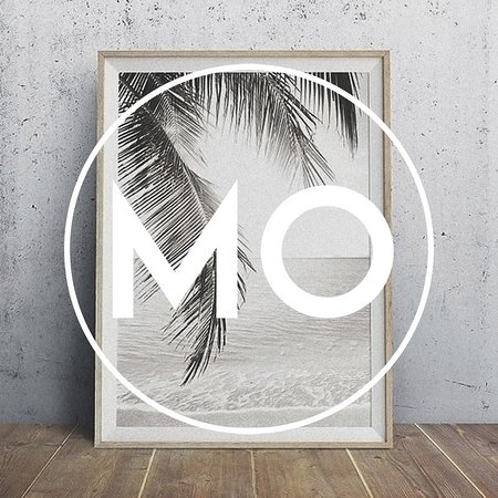 MO Surry Hills - New South Wales Tourism  0