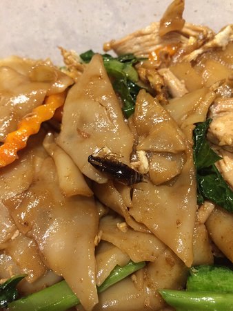 AllSpice Thai Kitchen - New South Wales Tourism  0