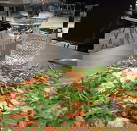 May's Pizzeria - New South Wales Tourism 