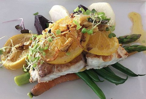 Domani's Cafe Restaurant & Bar - New South Wales Tourism  1