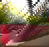 Dinoni - New South Wales Tourism 