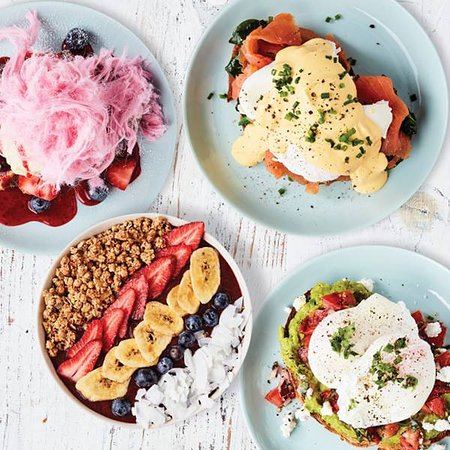 Rashays Top Ryde - New South Wales Tourism  0