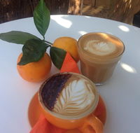 The Orange Tree - licensed cafe by the river - New South Wales Tourism 