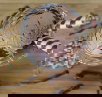 PN's Daily Scoop - New South Wales Tourism 