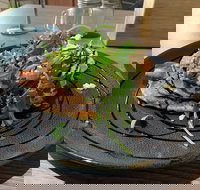 22 Grams Espresso - New South Wales Tourism 