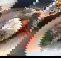 Terrigal Surf Cafe - New South Wales Tourism 