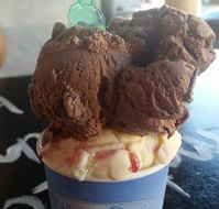 Windsor Ice Cream Cafe - New South Wales Tourism 