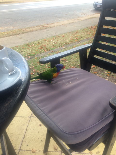 Julie's At The Rectory - New South Wales Tourism  4