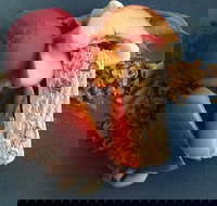 Whale Restaurant - New South Wales Tourism 