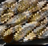 Armstrongs Oysters - New South Wales Tourism 