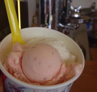 Bermagui Gelati Clinic - New South Wales Tourism 