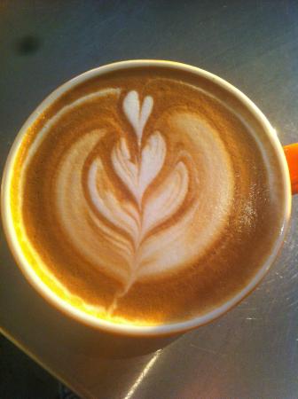 Pottsville NSW New South Wales Tourism 