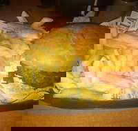 Finn  Co Cafe - New South Wales Tourism 