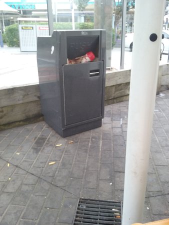 The Entrance NSW New South Wales Tourism 