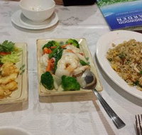 Springwood Gardens - New South Wales Tourism 