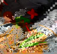 Thai Square Springwood - New South Wales Tourism 