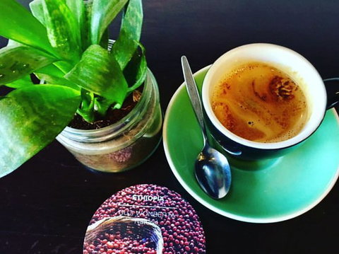 The Patch Cafe - New South Wales Tourism  0