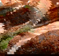 Familiar Takeaway - New South Wales Tourism 