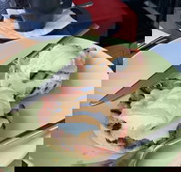 At Glebe Cafe - New South Wales Tourism 