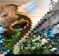 Caffe Cherry Beans Canberra Centre - New South Wales Tourism 