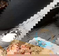 Doughnut Department - New South Wales Tourism 