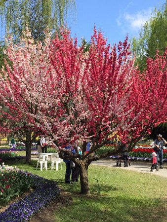 Ngunnawal ACT New South Wales Tourism 