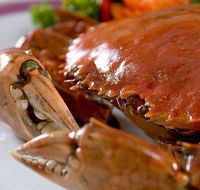 Ruby Chinese Restaurant - New South Wales Tourism 