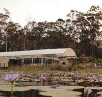 Abundance Cafe and Garden Centre - New South Wales Tourism 