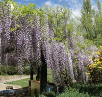 Gods Cafe  Bar - New South Wales Tourism 