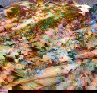Darch Pizza  Pasta - New South Wales Tourism 