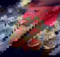 Filosofy - New South Wales Tourism 